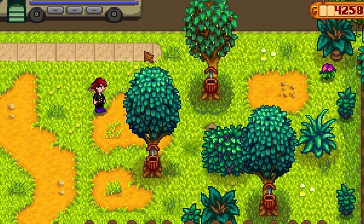 糖豆人：终极淘汰赛 年度版 截图2