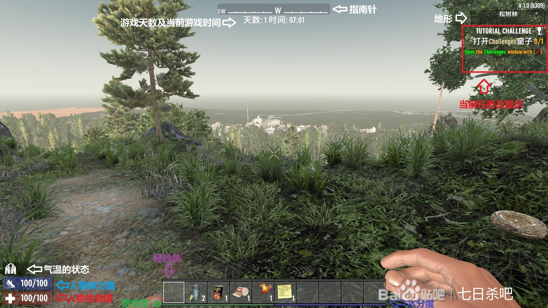 上古卷轴5：天际 完整版 截图10